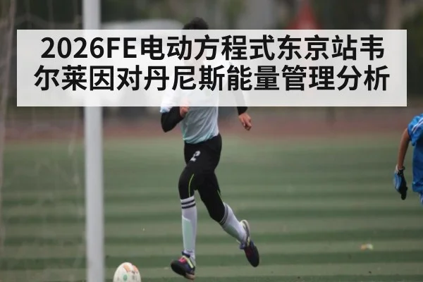 2026FE电动方程式东京站韦尔莱因对丹尼斯能量管理分析 | kaiyun
