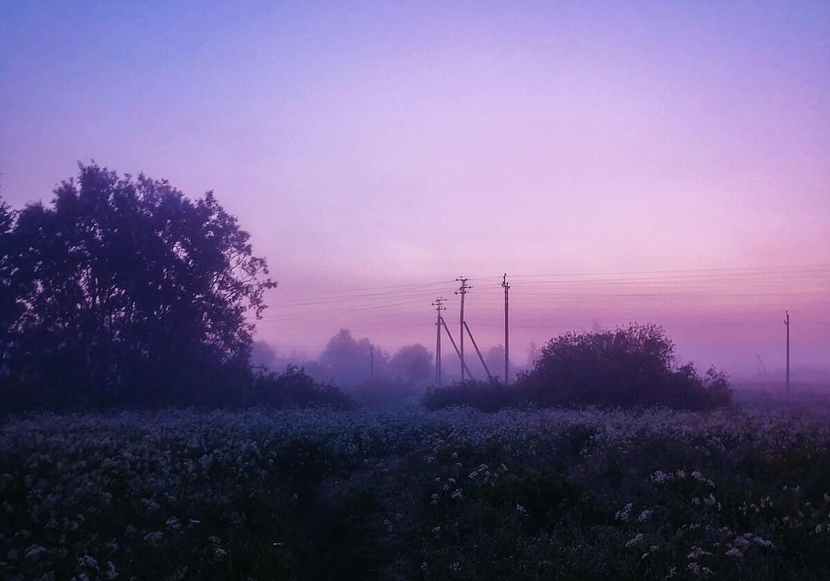 开云体育网站-【亚冠】雷文杰送点曹圭成2球 上港0比2获小组第二